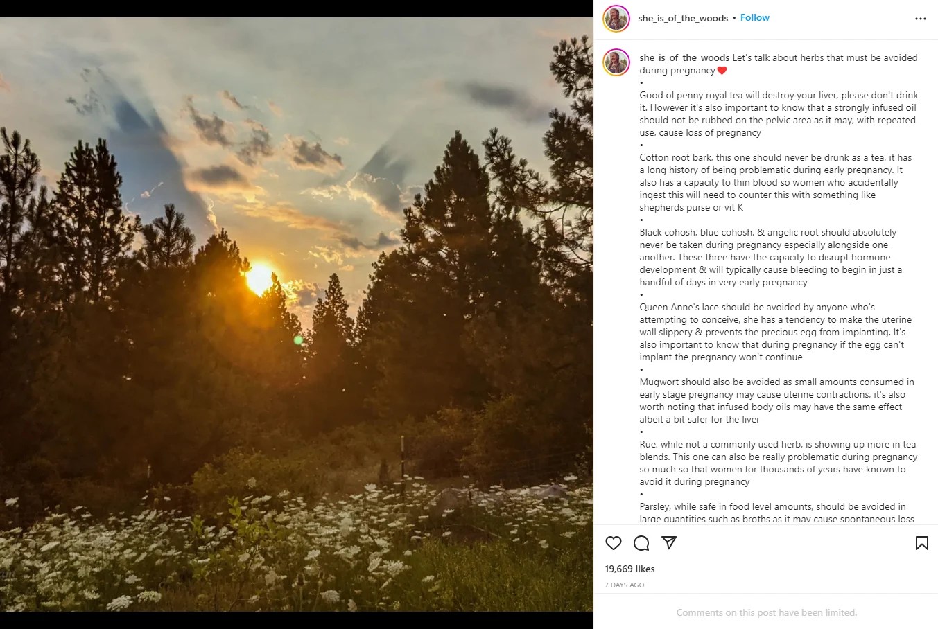 Fact Check Pregnant People Should NOT Take Herbs To Have Miscarriage